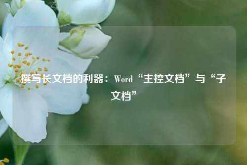 撰写长文档的利器：Word“主控文档”与“子文档”