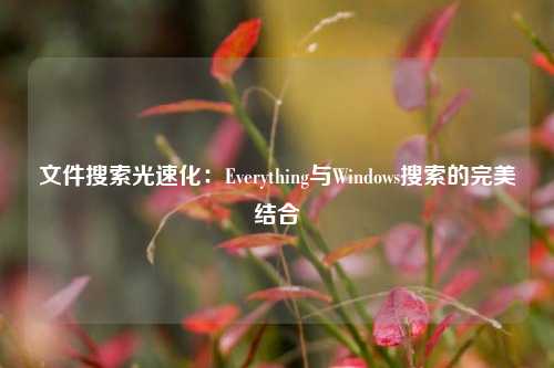 文件搜索光速化：Everything与Windows搜索的完美结合