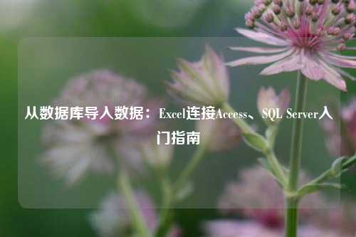 从数据库导入数据：Excel连接Access、SQL Server入门指南
