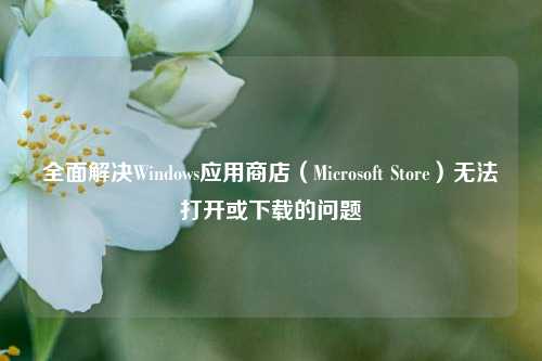 全面解决Windows应用商店（Microsoft Store）无法打开或下载的问题