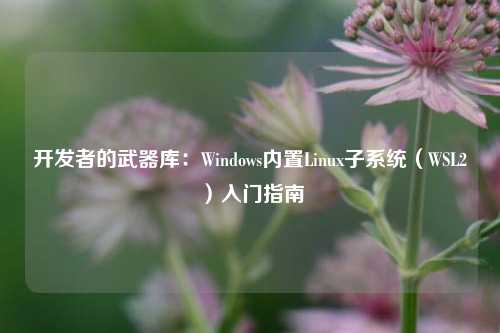 开发者的武器库：Windows内置Linux子系统（WSL2）入门指南