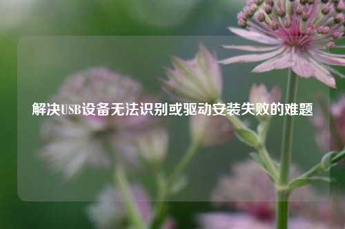 解决USB设备无法识别或驱动安装失败的难题