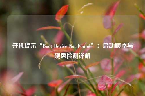 开机提示“Boot Device Not Found”：启动顺序与硬盘检测详解