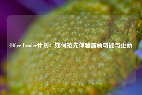 Office Insider计划：如何抢先体验最新功能与更新