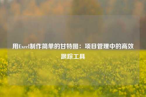 用Excel制作简单的甘特图：项目管理中的高效跟踪工具