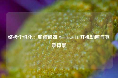 终极个性化：如何修改 Windows 11 开机动画与登录背景