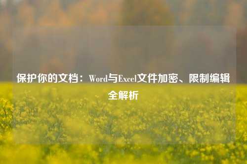 保护你的文档:Word与Excel文件加密、限制编辑全解析