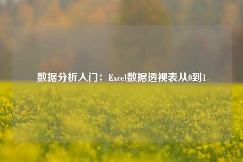 数据分析入门：Excel数据透视表从0到1
