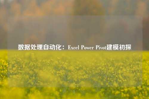 数据处理自动化：Excel Power Pivot建模初探