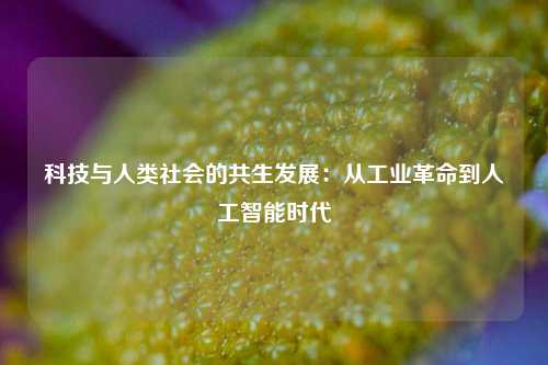 科技与人类社会的共生发展：从工业革命到人工智能时代