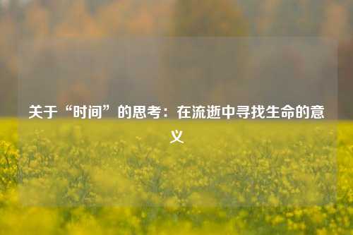 关于“时间”的思考：在流逝中寻找生命的意义