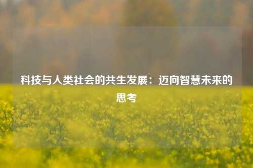 科技与人类社会的共生发展：迈向智慧未来的思考