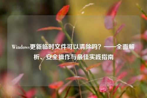Windows更新临时文件可以清除吗？——全面解析、安全操作与最佳实践指南