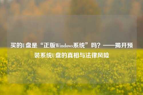 买的U盘是“正版Windows系统”吗？——揭开预装系统U盘的真相与法律风险
