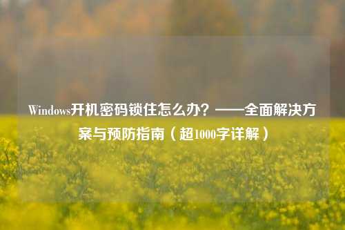 Windows开机密码锁住怎么办？——全面解决方案与预防指南（超1000字详解）