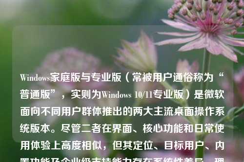 Windows家庭版与专业版（常被用户通俗称为“普通版”，实则为Windows 10/11专业版）是微软面向不同用户群体推出的两大主流桌面操作系统版本。尽管二者在界面、核心功能和日常使用体验上高度相似，但其定位、目标用户、内置功能及企业级支持能力存在系统性差异。理解这些区别，不仅有助于个人用户理性选型，更能帮助中小企业规避潜在的管理瓶颈与安全风险。本文将从功能特性、安全性、管理能力、兼容性、授权方式及适用场景六大维度，全面解析Windows家庭版与专业版的本质区别。