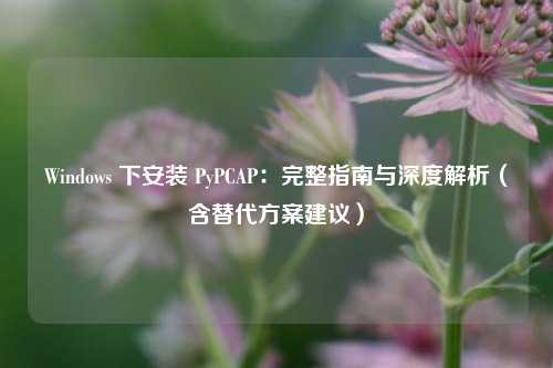 Windows 下安装 PyPCAP：完整指南与深度解析（含替代方案建议）