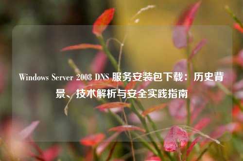Windows Server 2008 DNS 服务安装包下载：历史背景、技术解析与安全实践指南