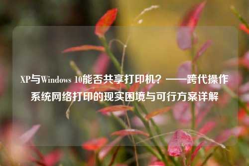 XP与Windows 10能否共享打印机？——跨代操作系统网络打印的现实困境与可行方案详解