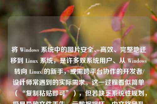 将 Windows 系统中的图片安全、高效、完整地迁移到 Linux 系统，是许多双系统用户、从 Windows 转向 Linux 的新手，或需跨平台协作的开发者/设计师常遇到的实际需求。这一过程看似简单（“复制粘贴即可”），但若缺乏系统性规划，极易导致文件丢失、元数据损坏、中文路径乱码、权限异常、缩略图失效，甚至因文件系统差异引发兼容性问题。本文将从原理出发，结合实操细节，提供一套兼顾完整性、可靠性、可追溯性与用户体验的跨平台图片迁移方案，全文逾1200字，涵盖六种主流方法及其适用场景分析。