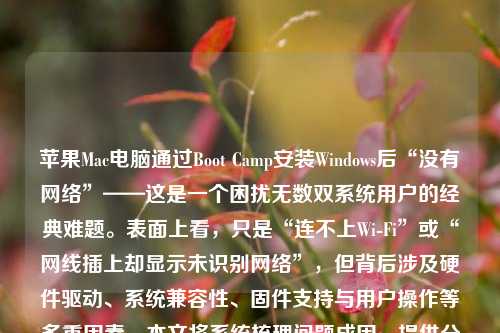 苹果Mac电脑通过Boot Camp安装Windows后“没有网络”——这是一个困扰无数双系统用户的经典难题。表面上看，只是“连不上Wi-Fi”或“网线插上却显示未识别网络”，但背后涉及硬件驱动、系统兼容性、固件支持与用户操作等多重因素。本文将系统梳理问题成因、提供分步解决方案，并延伸探讨苹果生态与Windows驱动支持的深层逻辑，帮助用户真正理解并彻底解决这一顽疾。