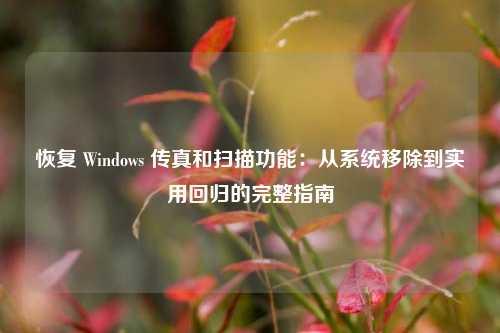 恢复 Windows 传真和扫描功能：从系统移除到实用回归的完整指南