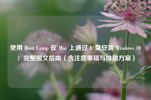使用 Boot Camp 在 Mac 上通过 U 盘安装 Windows 10：完整图文指南（含注意事项与排错方案）