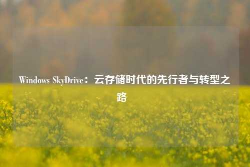 Windows SkyDrive：云存储时代的先行者与转型之路  