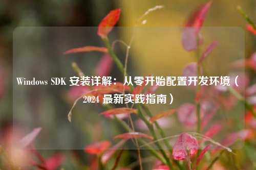 Windows SDK 安装详解：从零开始配置开发环境（2024 最新实践指南）