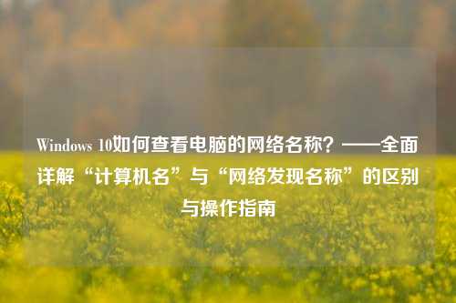 Windows 10如何查看电脑的网络名称?——全面详解“计算机名”与“网络发现名称”的区别与操作指南