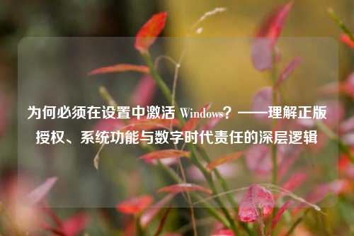 为何必须在设置中激活 Windows？——理解正版授权、系统功能与数字时代责任的深层逻辑