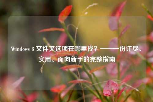 Windows 8 文件夹选项在哪里找？——一份详尽、实用、面向新手的完整指南