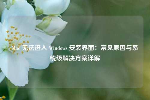 Mac 无法进入 Windows 安装界面：常见原因与系统级解决方案详解