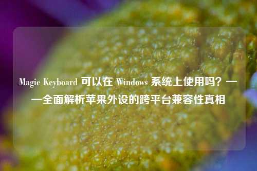 Magic Keyboard 可以在 Windows 系统上使用吗?——全面解析苹果外设的跨平台兼容性真相