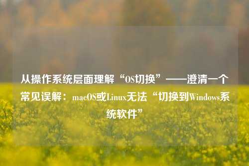 从操作系统层面理解“OS切换”——澄清一个常见误解：macOS或Linux无法“切换到Windows系统软件”