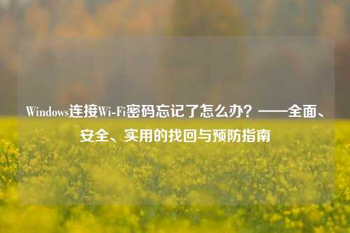 Windows连接Wi-Fi密码忘记了怎么办？——全面、安全、实用的找回与预防指南