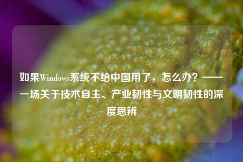 如果Windows系统不给中国用了，怎么办？——一场关于技术自主、产业韧性与文明韧性的深度思辨