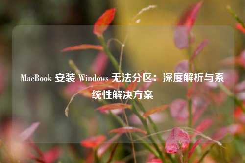 MacBook 安装 Windows 无法分区：深度解析与系统性解决方案