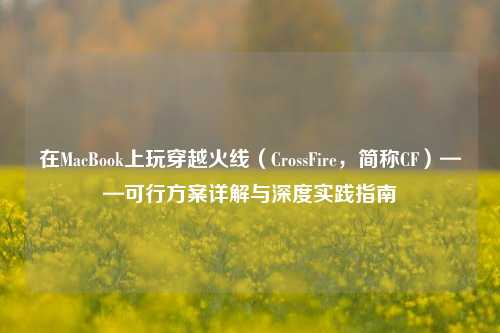 在MacBook上玩穿越火线(CrossFire,简称CF)——可行方案详解与深度实践指南