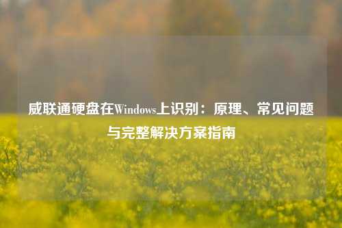 威联通硬盘在Windows上识别：原理、常见问题与完整解决方案指南