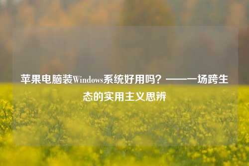 苹果电脑装Windows系统好用吗？——一场跨生态的实用主义思辨
