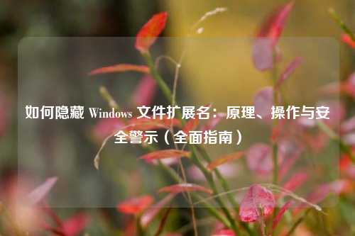 如何隐藏 Windows 文件扩展名:原理、操作与安全警示(全面指南)