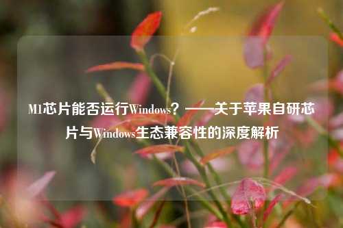 M1芯片能否运行Windows？——关于苹果自研芯片与Windows生态兼容性的深度解析