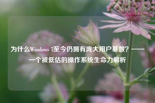 为什么Windows 7至今仍拥有庞大用户基数?——一个被低估的操作系统生命力解析