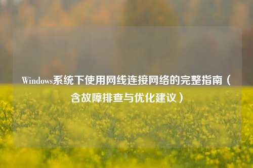 Windows系统下使用网线连接网络的完整指南（含故障排查与优化建议）