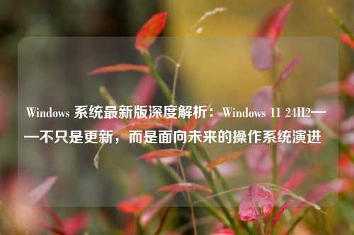 Windows 系统最新版深度解析:Windows 11 24H2——不只是更新,而是面向未来的操作系统演进