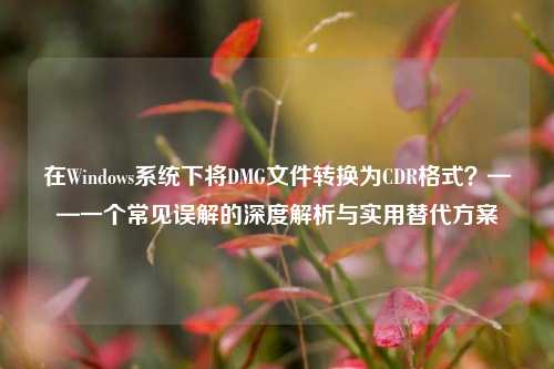 在Windows系统下将DMG文件转换为CDR格式？——一个常见误解的深度解析与实用替代方案