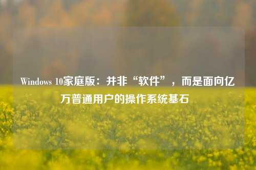 Windows 10家庭版：并非“软件”，而是面向亿万普通用户的操作系统基石  