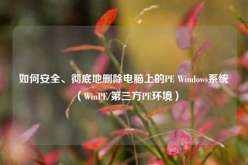 如何安全、彻底地删除电脑上的PE Windows系统（WinPE/第三方PE环境）