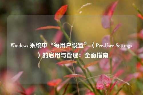Windows 系统中“每用户设置”(Per-User Settings)的启用与管理:全面指南